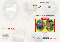 Module 1_ Poulet (1).pdf